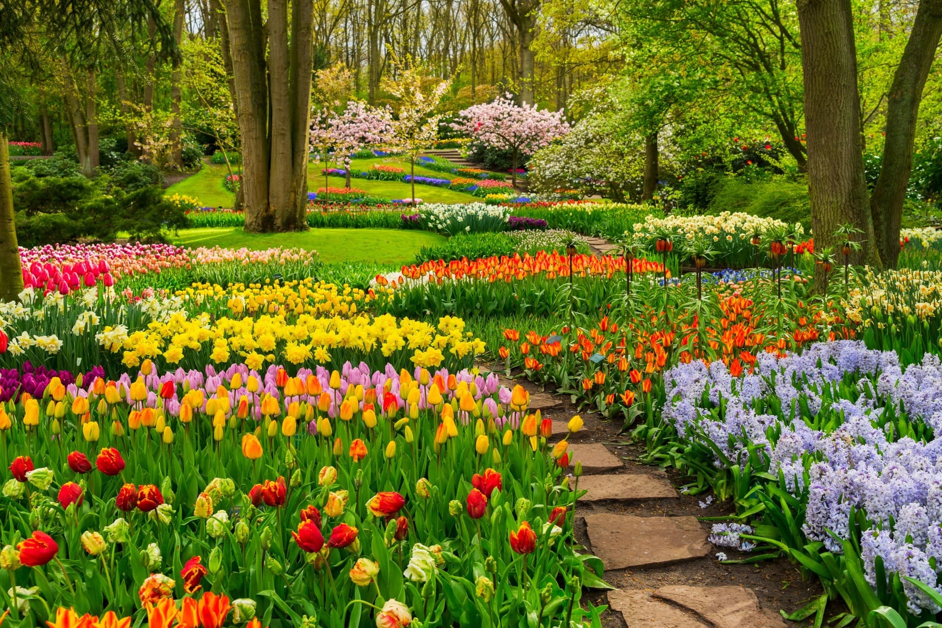 keukenhof ticket amsterdam ()